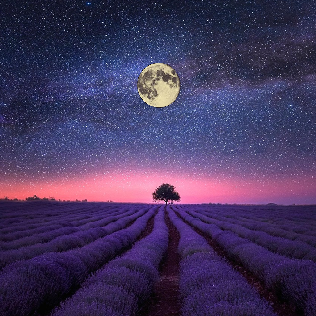Vollmond